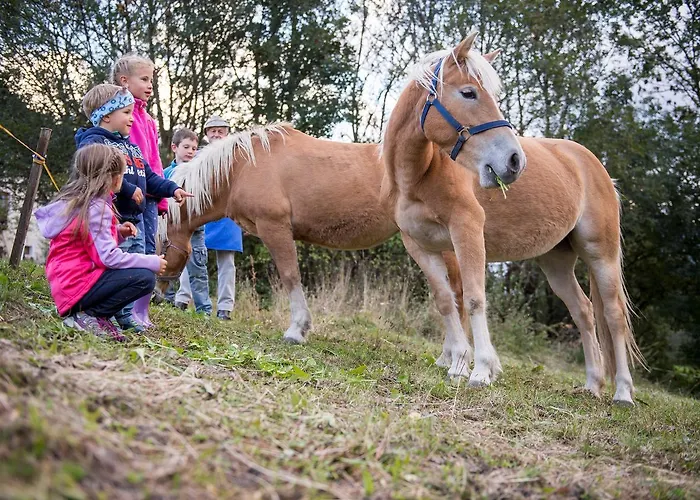 Entdecker Panorama Отель Больцано